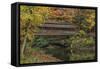 Mill Creek Covered Bridge 2-Galloimages Online-Framed Stretched Canvas