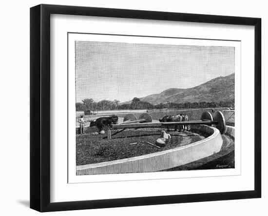 Mill for Husking Coffee, Central America, C1890-null-Framed Giclee Print