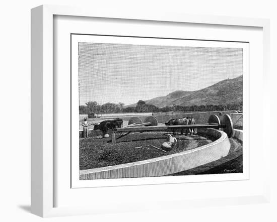 Mill for Husking Coffee, Central America, C1890-null-Framed Giclee Print