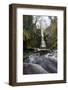 Mill Gill Force Waterfall, Askrigg, Wensleydale, North Yorkshire, Yorkshire-Mark Mawson-Framed Photographic Print