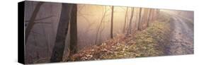 Mill River Viaduct-Frederick Charles-Stretched Canvas