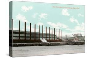 Mill Site, Gary, Indiana-null-Stretched Canvas