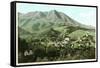 Mill Valley and Mt. Tamalpais, California-null-Framed Stretched Canvas