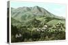 Mill Valley and Mt. Tamalpais, California-null-Stretched Canvas
