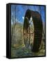 Mill Wheel, Ozark National Scenic Riverways, Missouri, USA-Charles Gurche-Framed Stretched Canvas