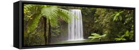 Milla Milla Falls, Atherton Highlands Nr Cairns, Queensland, Australia-Peter Adams-Framed Stretched Canvas