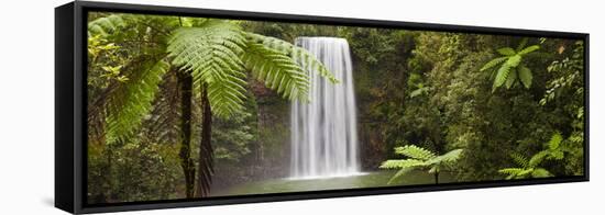 Milla Milla Falls, Atherton Highlands Nr Cairns, Queensland, Australia-Peter Adams-Framed Stretched Canvas