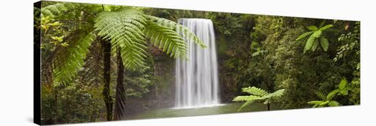 Milla Milla Falls, Atherton Highlands Nr Cairns, Queensland, Australia-Peter Adams-Stretched Canvas