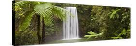 Milla Milla Falls, Atherton Highlands Nr Cairns, Queensland, Australia-Peter Adams-Stretched Canvas