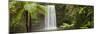 Milla Milla Falls, Atherton Highlands Nr Cairns, Queensland, Australia-Peter Adams-Mounted Photographic Print