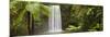 Milla Milla Falls, Atherton Highlands Nr Cairns, Queensland, Australia-Peter Adams-Mounted Photographic Print