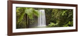 Milla Milla Falls, Atherton Highlands Nr Cairns, Queensland, Australia-Peter Adams-Framed Photographic Print