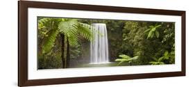 Milla Milla Falls, Atherton Highlands Nr Cairns, Queensland, Australia-Peter Adams-Framed Photographic Print