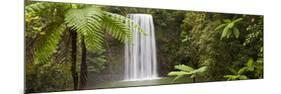 Milla Milla Falls, Atherton Highlands Nr Cairns, Queensland, Australia-Peter Adams-Mounted Photographic Print