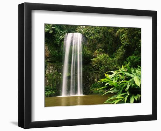 Millaa Millaa Falls-Dennis Degnan-Framed Photographic Print