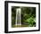 Millaa Millaa Falls-Dennis Degnan-Framed Photographic Print