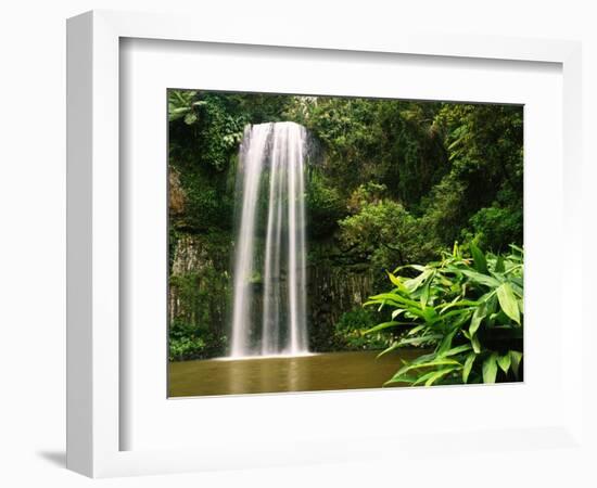 Millaa Millaa Falls-Dennis Degnan-Framed Photographic Print