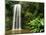 Millaa Millaa Falls-Dennis Degnan-Mounted Photographic Print