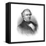 Millard Fillmore, American Politician, 19th Century-null-Framed Stretched Canvas