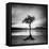 Millarrochy Tree-Nina Papiorek-Framed Stretched Canvas