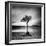 Millarrochy Tree-Nina Papiorek-Framed Premium Photographic Print