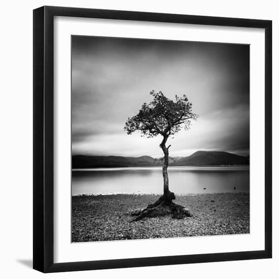 Millarrochy Tree-Nina Papiorek-Framed Premium Photographic Print