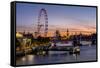 Millenium Wheel (London Eye) with Big Ben on the skyline beyond at sunset, London, England, United -Charles Bowman-Framed Stretched Canvas