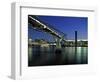 Millennium Bridge and Tate Modern, London, England-Alan Copson-Framed Photographic Print