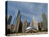 Millennium Park and Cloud Gate Sculpture, Aka the Bean, Chicago, Illinois, Usa-Alan Klehr-Stretched Canvas