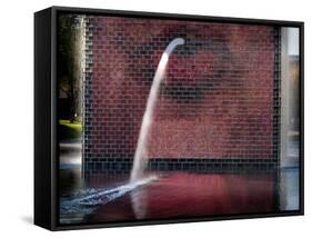 Millennium Park Fountain Chicago-Steve Gadomski-Framed Stretched Canvas