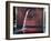 Millennium Park Fountain Chicago-Steve Gadomski-Framed Photographic Print