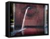 Millennium Park Fountain Chicago-Steve Gadomski-Framed Stretched Canvas