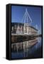 Millennium Stadium, Cardiff, Wales, United Kingdom, Europe-Billy Stock-Framed Stretched Canvas