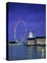 Millennium Wheel, London, England-Rex Butcher-Stretched Canvas