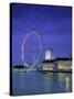 Millennium Wheel, London, England-Rex Butcher-Stretched Canvas