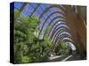 Millennium Winter Gardens, Sheffield, Yorkshire, England, United Kingdom-Neale Clarke-Stretched Canvas