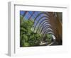 Millennium Winter Gardens, Sheffield, Yorkshire, England, United Kingdom-Neale Clarke-Framed Photographic Print