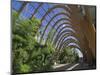 Millennium Winter Gardens, Sheffield, Yorkshire, England, United Kingdom-Neale Clarke-Mounted Photographic Print