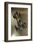 MILLER 122 supercharged 1923-Simon Clay-Framed Photographic Print