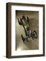 MILLER 122 supercharged 1923-Simon Clay-Framed Photographic Print