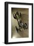 MILLER 122 supercharged 1923-Simon Clay-Framed Photographic Print