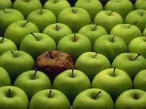 One Rotten Apple Amongst Other Green Apples-Miller John-Photographic Print