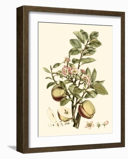 Miller's Bounty II-John Miller-Framed Art Print