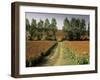 Millet Field Near Condom, Gascony, Midi-Pyrenees, France-Michael Busselle-Framed Photographic Print