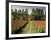 Millet Field Near Condom, Gascony, Midi-Pyrenees, France-Michael Busselle-Framed Photographic Print