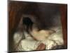 Millet: Reclining Nude-Jean-François Millet-Mounted Giclee Print