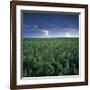 Millet-Stephen Gassman-Framed Giclee Print