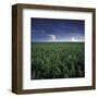 Millet-Stephen Gassman-Framed Art Print