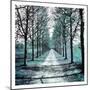 Wood Mount