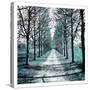 Stretched Canvas